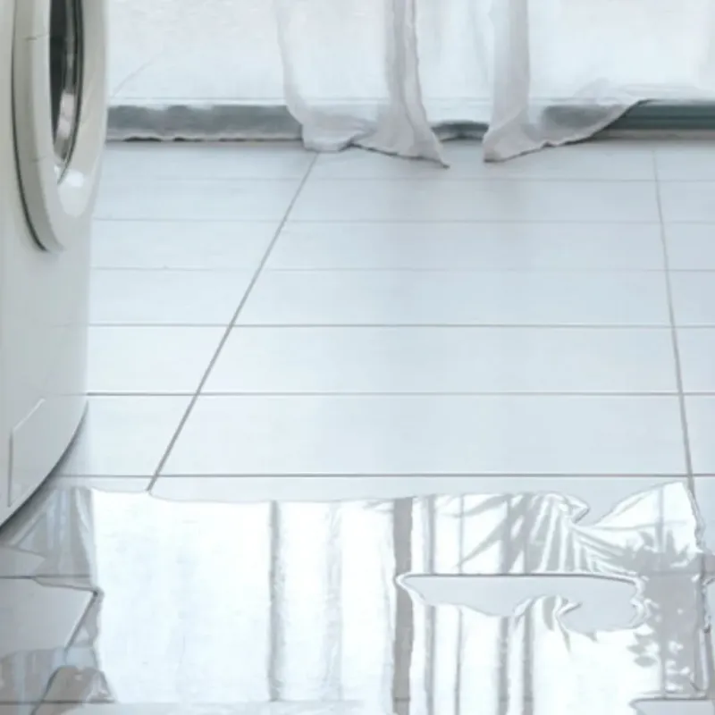 Appliance Leak Cleanup in Lago Vista, TX