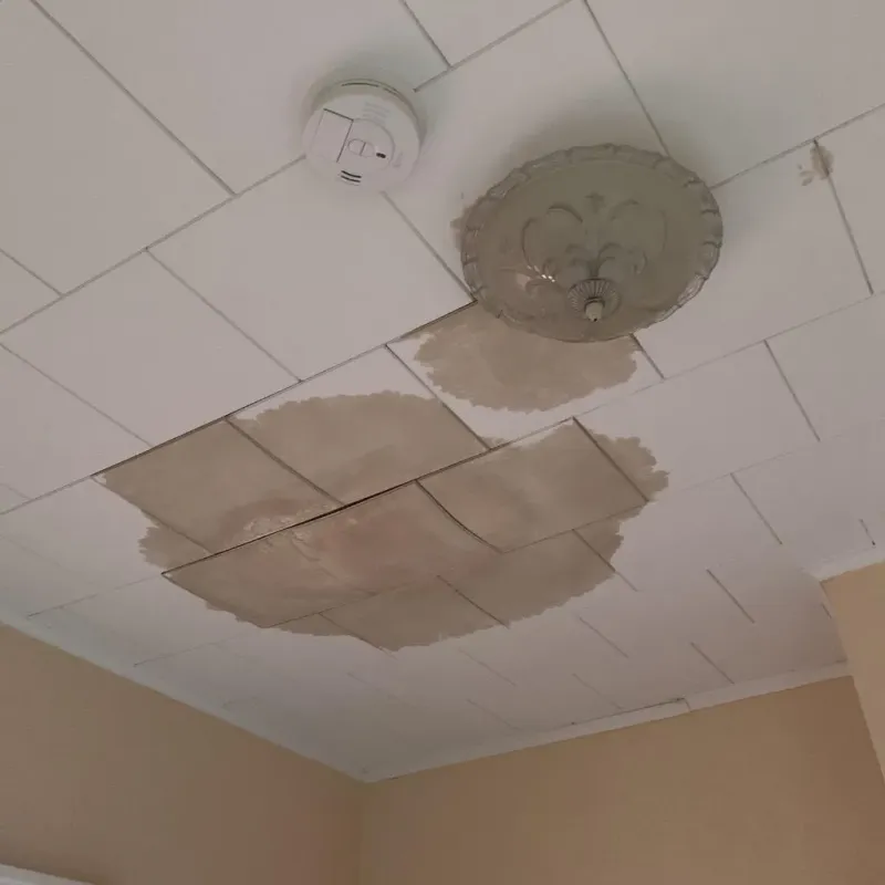 Ceiling Water Damage Repair in Lago Vista, TX